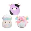 Squishmallow 5 Inch Fan Favorites Squad Set Of 3 - Alexie, Kervena, Aksel -Snugpals Store FullSizeRender 5ef24f72 6379 419f b54f 4960155f1027